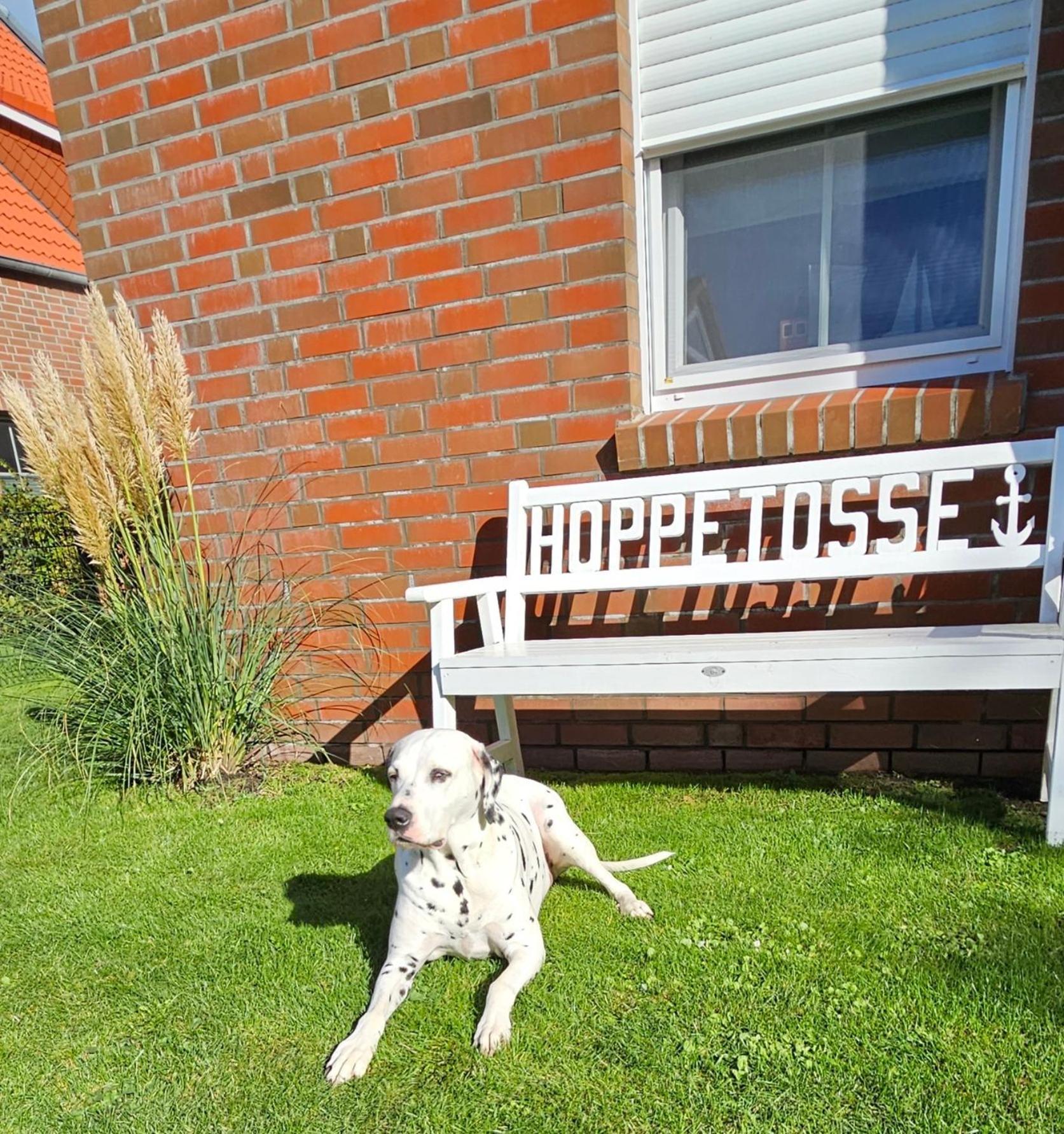 Apartament Hoppetosse Greetsiel Zewnętrze zdjęcie